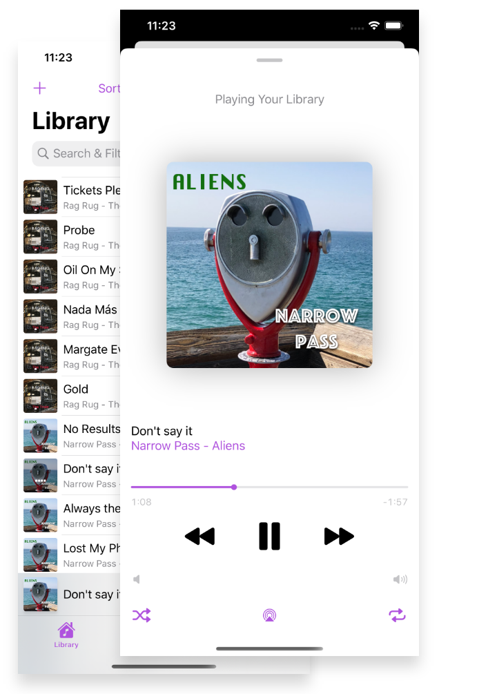 Palm Music Player